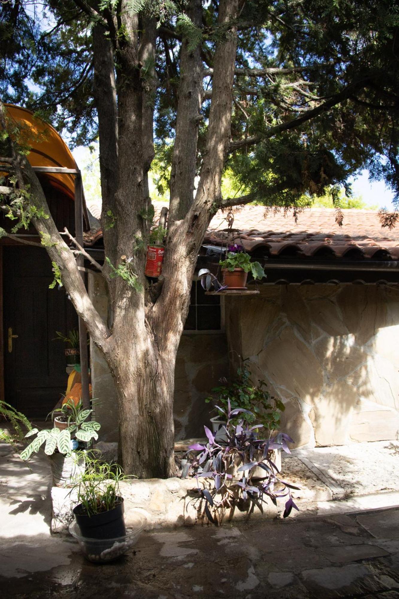 Старата Баkалия The Old Grocery, Guest Rooms Bałczik Zewnętrze zdjęcie
